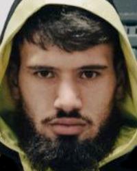 Francesco Aiello profile picture