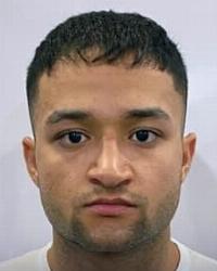Qais Alizada photo