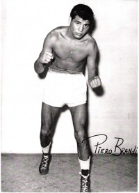 Piero Brandi profile picture