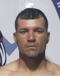 Fernando Brito profile picture