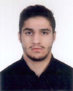 856487.jpg