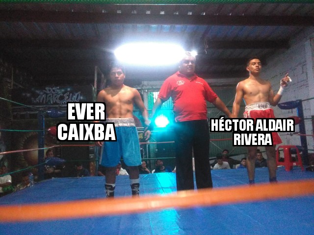 2339774.jpg