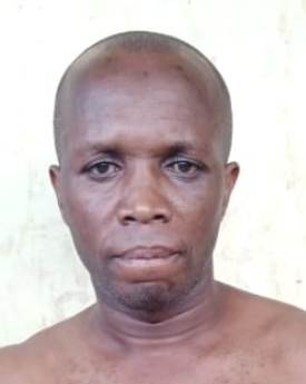 Joseph Martin BoxRec