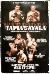 Official Fight Poster
