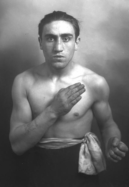 Лев боксер