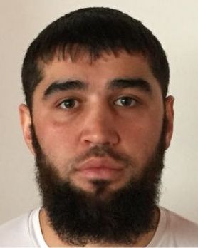 Владимир Шахманов