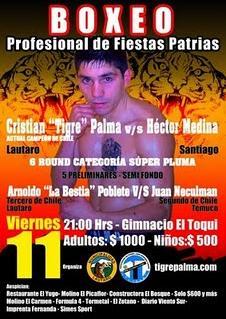 Cristian Palma vs. Hector Medina.jpg