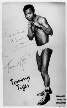 Tommy Tiger.jpg