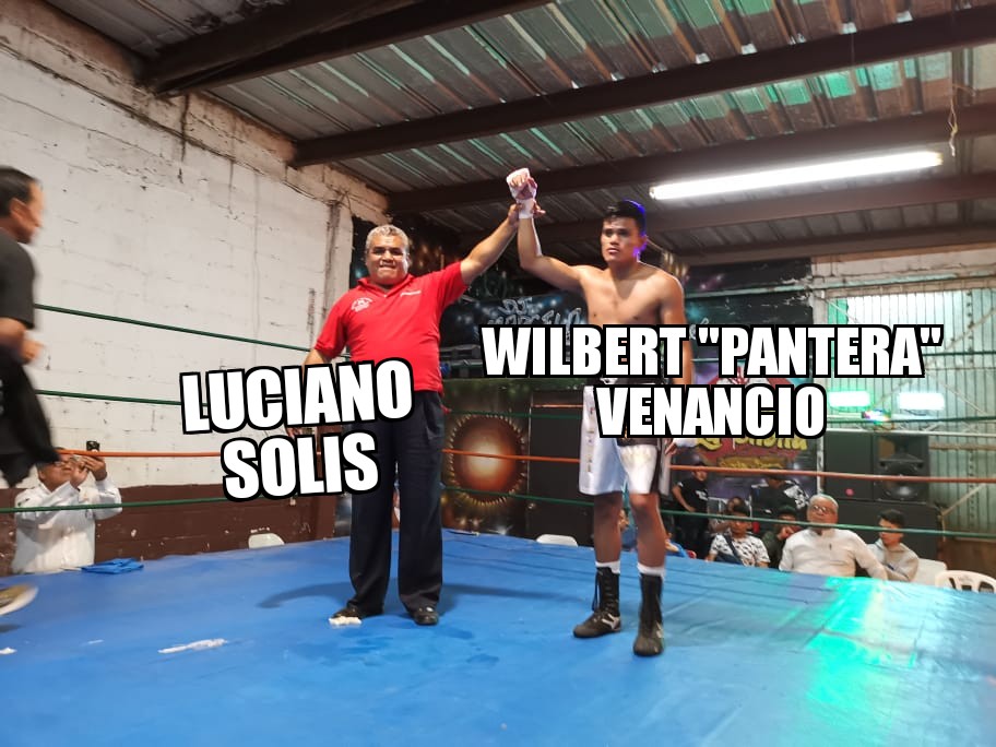 2339778.jpg