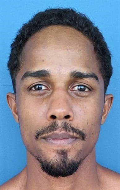 Paulo Dos Santos Pereira BoxRec