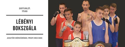 Lebenyi boxgala.jpg