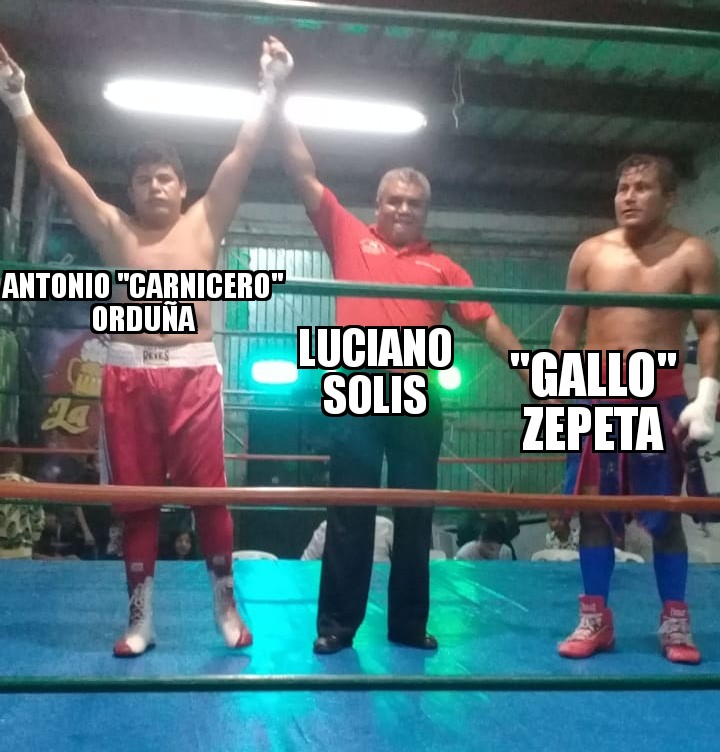 2339775.jpg