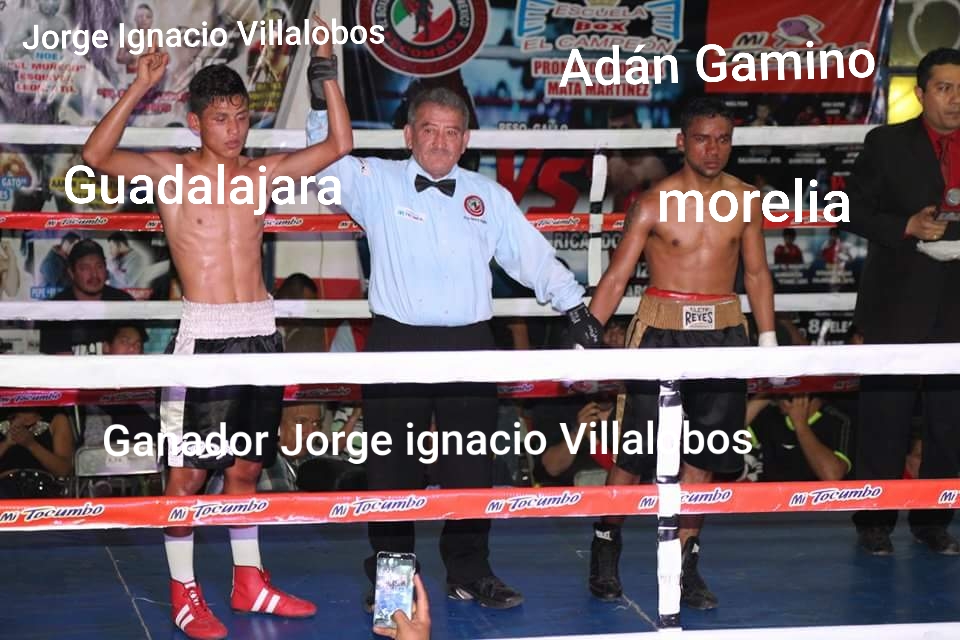 2230173.jpg
