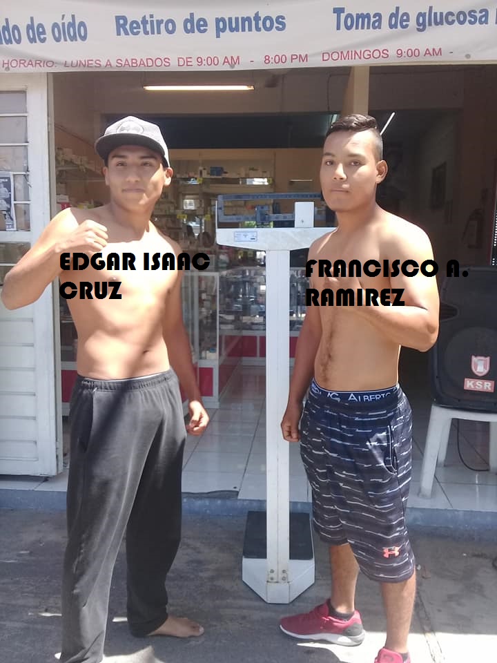 786137f.jpg