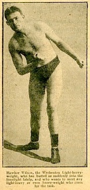Hawker Wilson.jpg