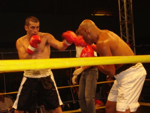 Animal vs Duarte.jpg