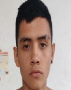 1426217.jpg