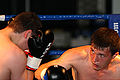 Thumbnail for version as of 09:31, 12 June 2012