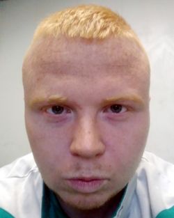 1018179.jpg
