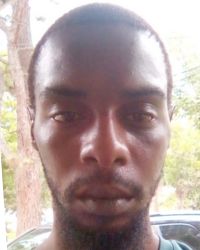 File:1028559.jpg