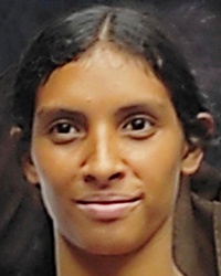 File:1042464.jpg