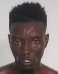 File:1123705.jpeg
