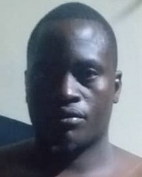 File:1174023.jpeg
