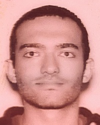 File:1191865.jpg