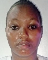 File:1193659.jpg