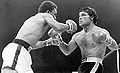 12034198-rocky-ramon-vs-sugar-ray-leonard.jpg