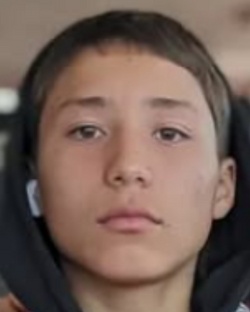 1216773.jpg