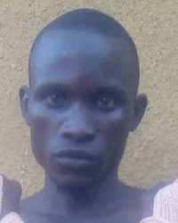 File:1229182.jpg