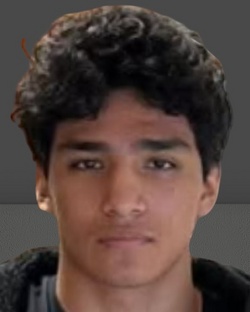 1243438.jpg