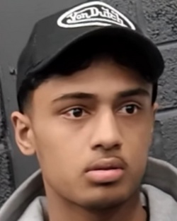 1248169.jpg