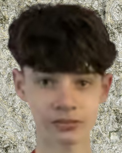 1249363.jpg