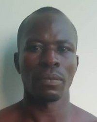 File:1252718.jpeg