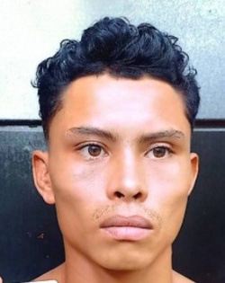 1254940.jpg