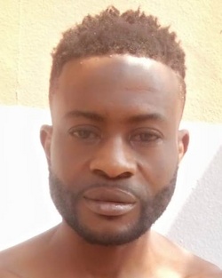 1273706.jpg