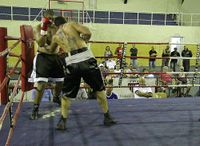 File:130312.jpg