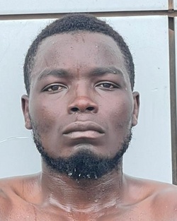 1329307.jpg