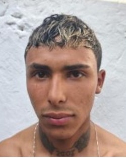 1391758.jpg