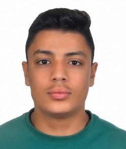 1394056.jpg