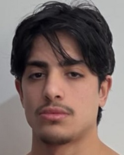 1481581.jpg