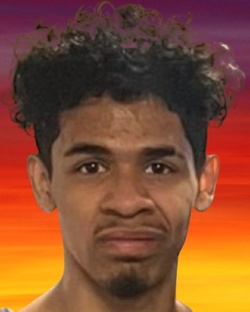 1491492.jpg