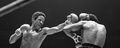 158705213-benitez-weston.jpg