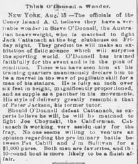 18930816BuffaloCourierWedAug16-1893p8.jpg