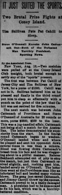 18930819Los Angeles Herald Sat Aug 19 1893 page 2.jpg