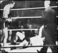 1947 Cerdan Plants Gilroy again.jpeg