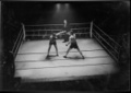 1947 Marcel Cerdan vs Bert Gilroy. Seymour Hall, London.jpeg