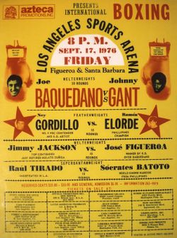 1976-09-17 - Johnny Gant vs. Jose Baquedano (Poster).jpeg